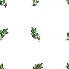 Watercolor seamless pattern with green twigs with leaves. Botanical illustration, isolated on white background. For textile, print, tablecloth, invitations, curtains