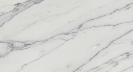 texture of the  marble 