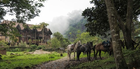 Fototapeta premium A charming wooden lodge surrounded by lush greenery and mist, with saddled horses waiting on a dirt path. A peaceful rural retreat in nature