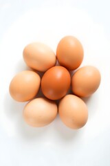 organic eggs on white background	