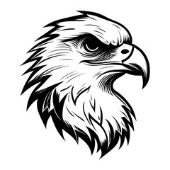 A bold and detailed silhouette of a hawk's head, showcasing its sharp beak, fierce gaze, and streamlined shape. Ideal for wildlife illustrations, sports logos, military insignias