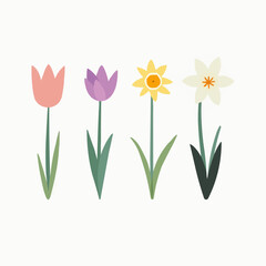 Fototapeta premium Frühlingsblumen-Set: Tulpe, Narzisse, Hyazinthe, Krokus
