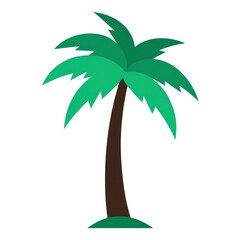palm tree illustration isolated on transparent background, 