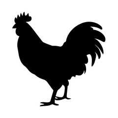 A simple and elegant silhouette of a hen, showcasing its distinctive body shape, comb, and beak. Perfect for farm-themed designs, poultry industry branding, rustic decorations, and minimalist animal