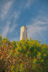French lighthouse in the golden hour