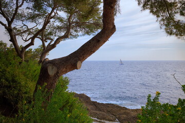 Sailboat, French riviera sea side