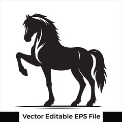 A horse  Standing with one leg raised