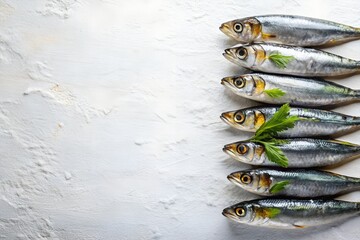 Sardines on White Background