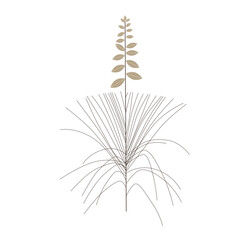 Desert Plant mid century modern art design