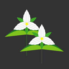 Trillium mid century modern art flower
