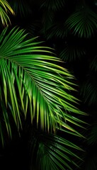 Lush green palm fronds against a dark, shadowy jungle backdrop, leaf texture, garden, green leaves