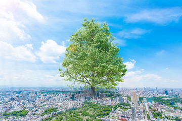 東京の都市風景と大樹の成長イメージ　Image of Tokyo cityscape and large tree growth © kurosuke