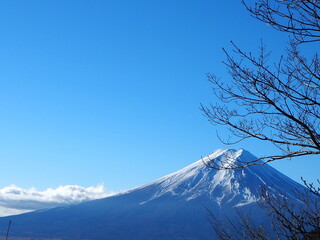 三ツ峠から見た富士