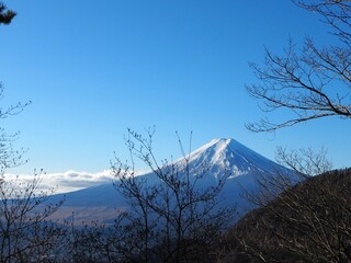 三ツ峠から見た富士