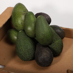 Fresh Avocados in a Box Displaying Vibrant Green and Natural Skin Texture