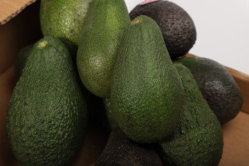 Fresh Avocados in a Box Displaying Vibrant Green and Natural Skin Texture