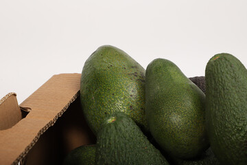Fresh Avocados in a Box Displaying Vibrant Green and Natural Skin Texture