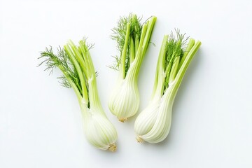 Three fresh fennel bulbs on white background.
