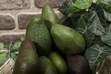 Fresh Ripe Avocados in a Basket with Decorative Greenery