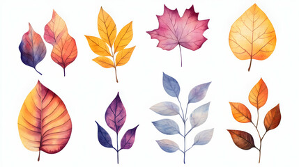 Obraz premium Watercolor autumn leaves collection; perfect for fall designs, greeting cards, or seasonal decorations