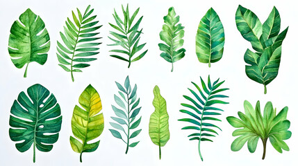 Watercolor tropical leaves collection; design elements for invitations, websites, and patterns