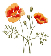 Obraz premium PNG The flower in embroidery style plant art inflorescence.
