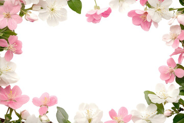 PNG Spring floral frame border flower blossoms nature.