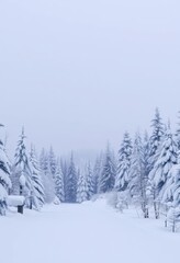 Obraz premium Serene snowfall blankets pristine, snow-covered winter landscape, snowy, blizzard, pure