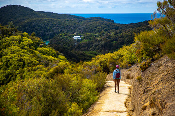 Obraz premium backpacker stands on the hill overlooking Anchorage Bay and Torrent Bay in Abel Tasman National Park - hiking on a famous great walk in New Zealand South Island