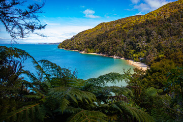 Obraz premium panorama of Stilwell Bay in Abel Tasman National Park. Little paradise beaches with turquoise water surrounded with tropical vegetation. Famous great walk in New Zealand South Island