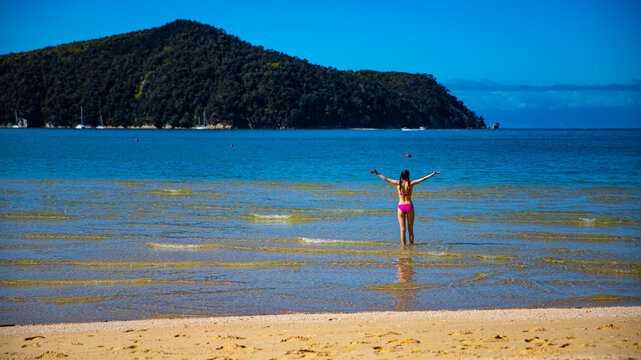 beautiful girl in bikini enjoys a dip in the turquoise water of Abel Tasman National Park, New Zealand South Island; swimming in Stilwell bay with Adele Island in the background