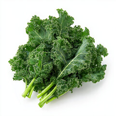 Fresh Kale Leaves 