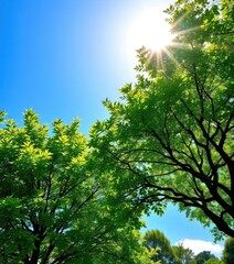 Obraz premium Lush green tree under a bright summer sky, vibrant foliage, garden, nature, landscape