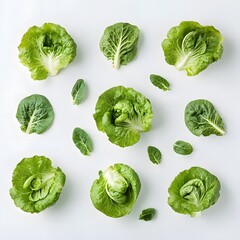 Fototapeta premium Fresh Green Lettuce Leaves Flatlay Pattern