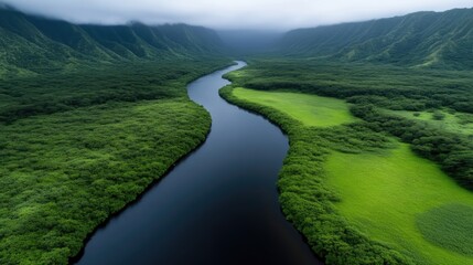 Serene river winding through lush tropical valley