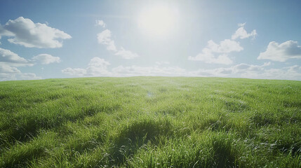Obraz premium Lush green meadow under bright sun with fluffy clouds