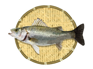 スズキ（ザル付き）