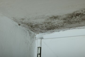 Wall affected with black mold indoors, closeup view