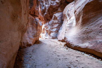 A narrow path winds through a rocky canyon