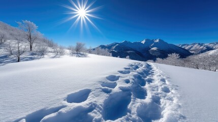 Winter wonderland trail through pristine snow-covered landscape