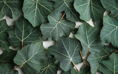 Dark Green Leaf Pattern Background Texture