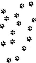 paw print on white background