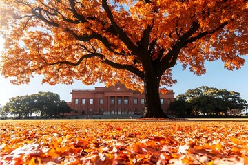Autumnal Landscape Majestic Oak Tree, Fallen Leaves, Brick Building