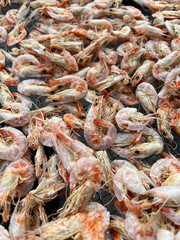 dry shrimp in the market