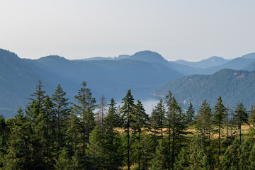 Aerial panoramic view of Saanich Inlet in Vancouver Island British Columbia Canada