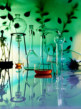 chemistry, lab, experimNT, BOTANICALS, COSMETCIS, GREEN, HERBAL, HOLISTIC, EXPERIMANT, FLOWERS, PLANTS