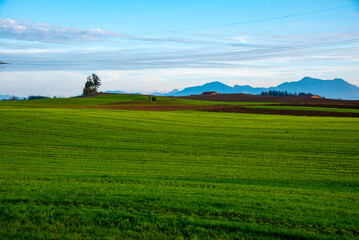 Agricultural Field in Bavaria - Germany