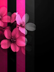 Pink Flowers for Abstract Design, Dark Background.