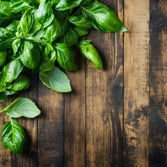 Fresh Green Basil Leaves on Rustic Wooden Background