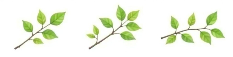 Three isolated branches with leaves on a white background, simple, , crisp
